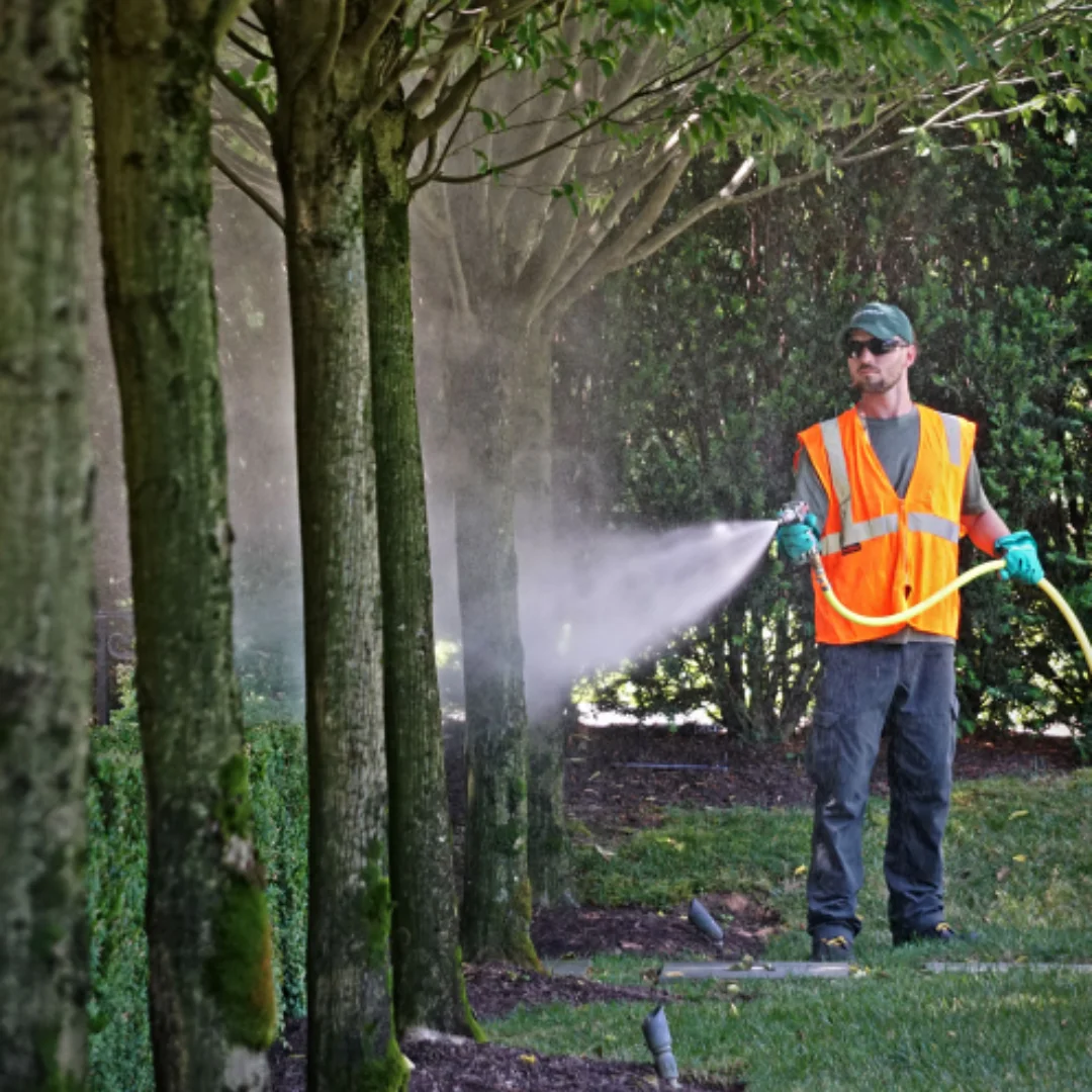 Advantages Of Partnering With Action Tree Service