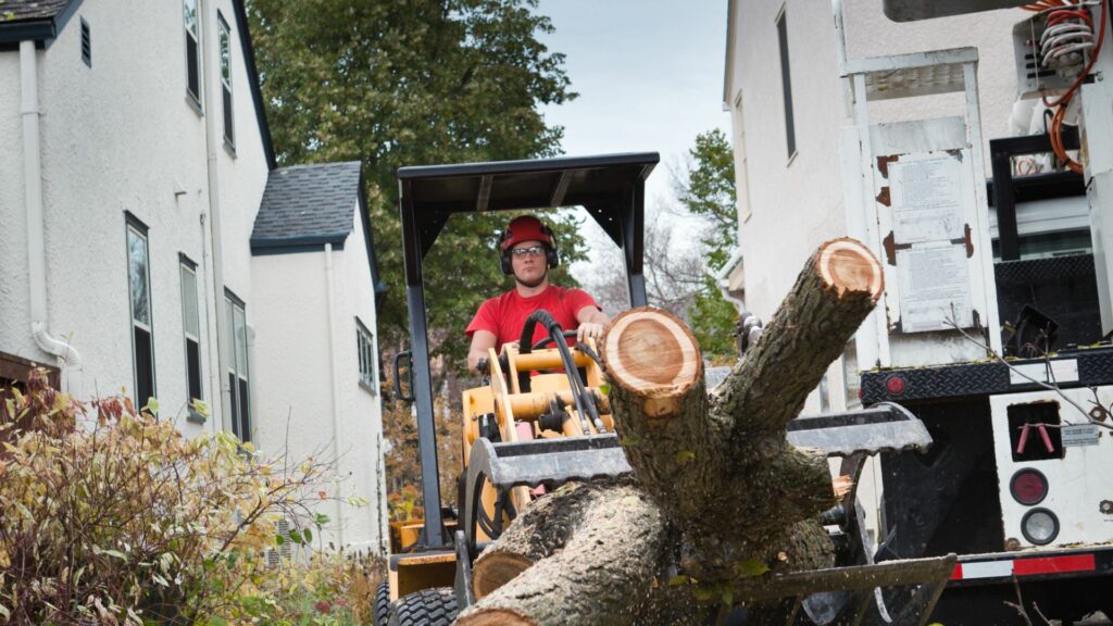 Safety Considerations For Fallen Tree Removal